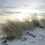 Meehrblick App 215 Zingst