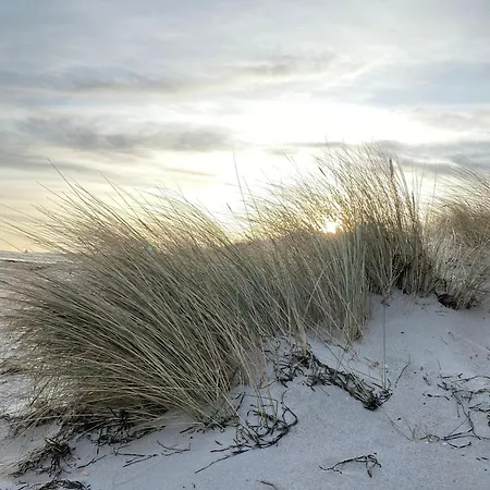 Meehrblick App 215 Zingst